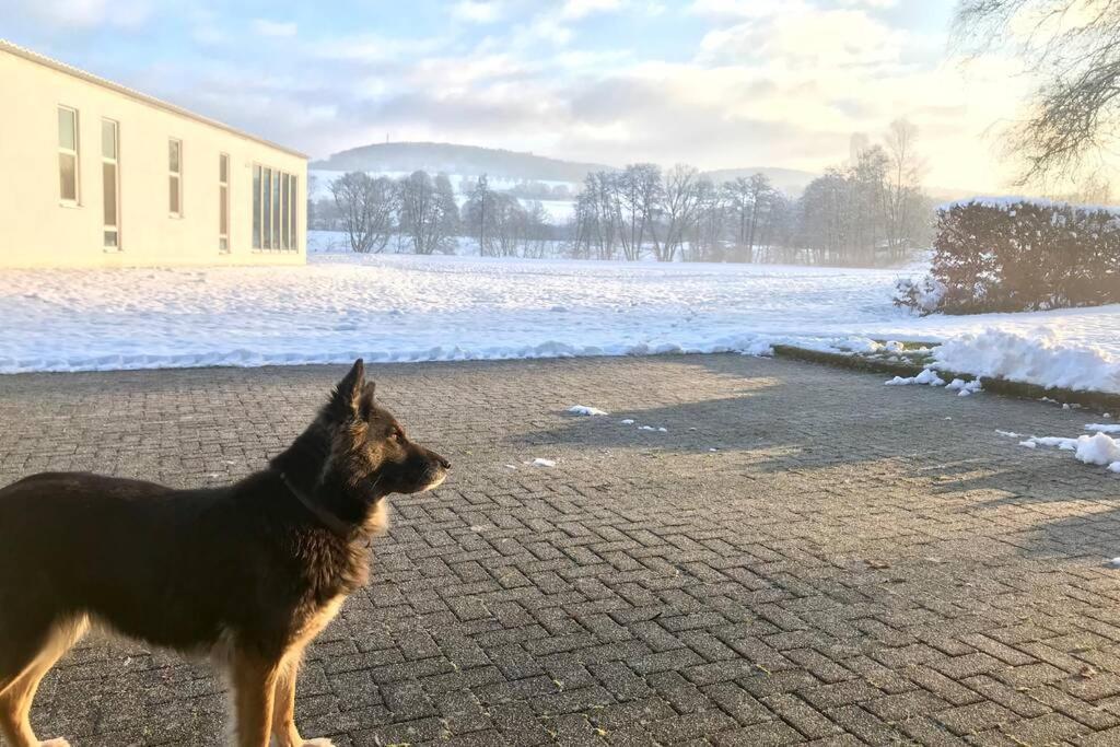 Ferienhaus Talblick Alpenrod Εξωτερικό φωτογραφία